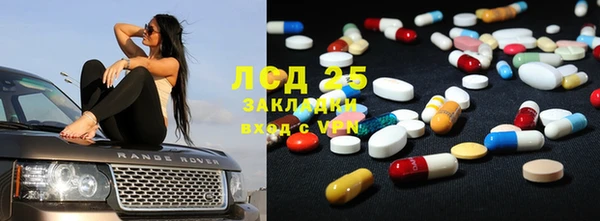 трава Белокуриха
