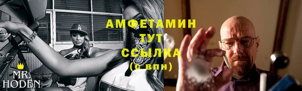 трава Белокуриха
