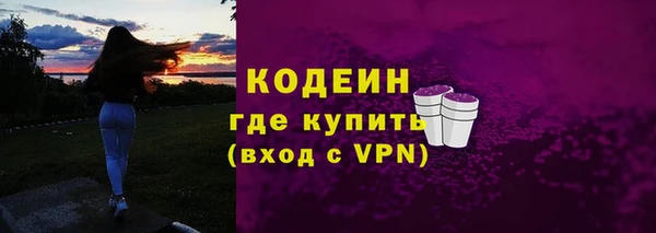 трава Белокуриха