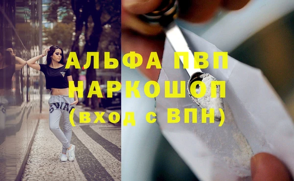 трава Белокуриха